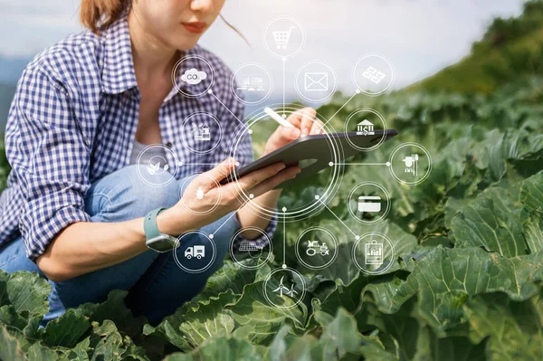 Agriculture technology farmer woman holding tablet to research agriculture problems