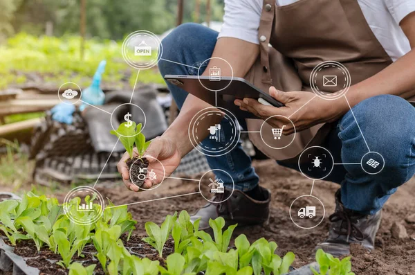 Rolnictwo Technologia Rolnik Człowiek Posiadający Tablet Badań Problemów Rolnictwa Dane — Zdjęcie stockowe