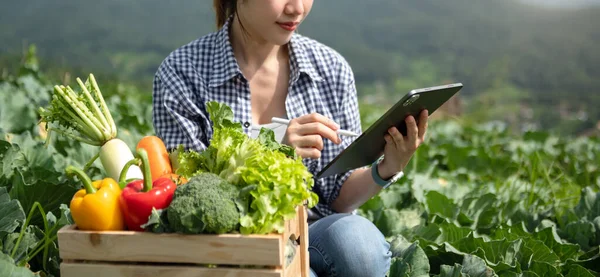 Agricultora Sosteniendo Tableta Para Investigar Problemas Agrícolas Verduras Caja Madera — Foto de Stock