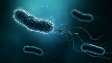 Escherichia coli, Helicobacter pylori veya salmonella 3D resimleme gibi bakteri grupları. Mikrobiyoloji, tıbbi, bakteriyoloji, biyoloji, bilim, tıp, enfeksiyon kavramları.