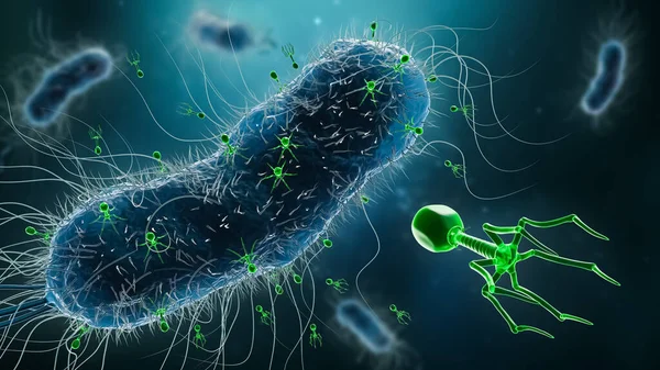 Grupo Fagos Bacteriófagos Que Infectam Bactérias Ilustração Renderização Conceitos Microbiologia — Fotografia de Stock