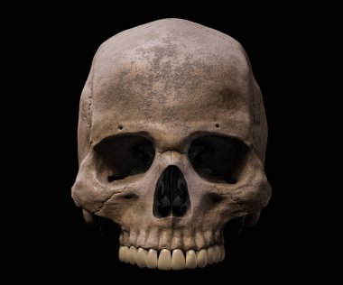Anatomik olarak doğru olan Homo sapiens 'in kafatası ön ya da ön görüntüsünün üst kısmı siyah arka plan 3D görüntüleme ile izole edilmiş. İnsan anatomisi, tıp, biyoloji, bilim konsepti.