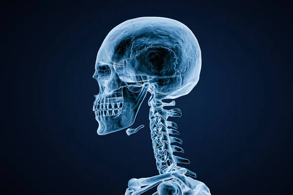 Xray Image Lateral Profile View Skull Adult Male Blue Background — ストック写真