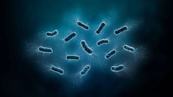 Gruppo Batteri Come Escherichia Coli Illustrazione Rendering Bacilli Microbiologia Biologia — Foto Stock