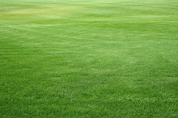 grassplot