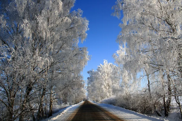 Silnice v zimě — Stock fotografie
