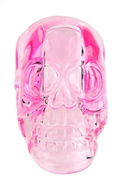 Roze transparant schedel — Stockfoto