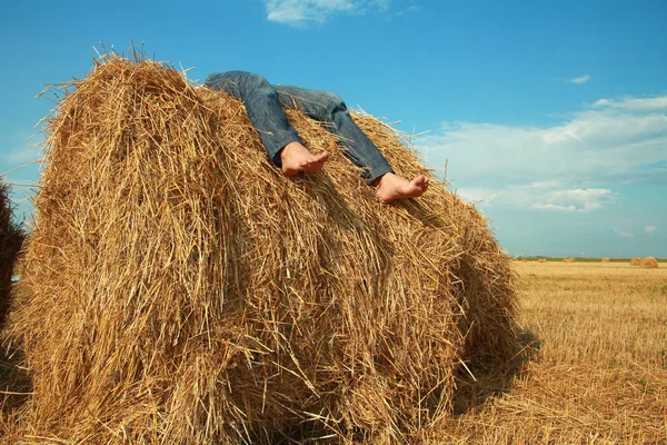 Descanso no campo — Fotografia de Stock