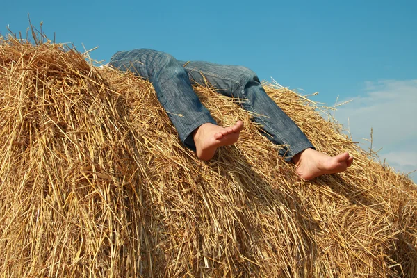 Rest on hay — Stock Photo, Image