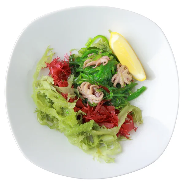 Salad kaiso with octopus — Stock Photo, Image