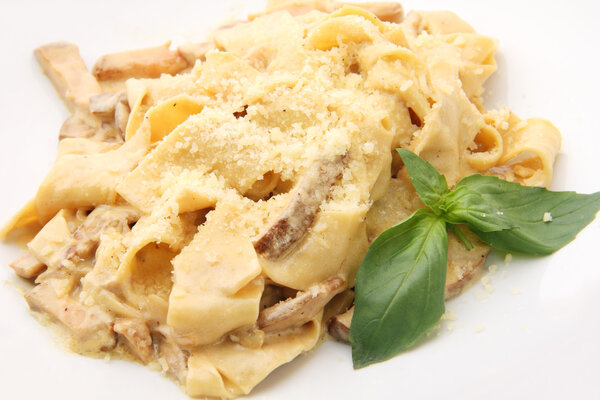 Papardelle with ceps closeup