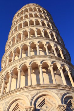 Pisa tower closeup clipart