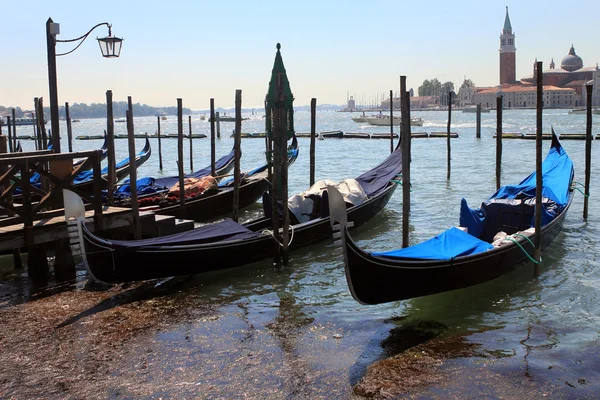 Parken in Venedig — Stockfoto