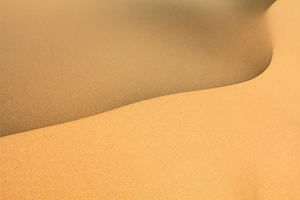 Cimier de dune de sable — Photo