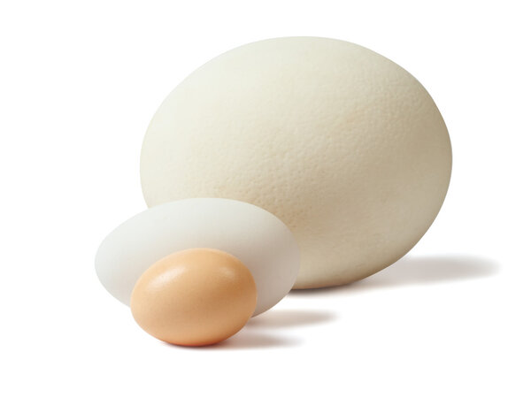 Размер имеет значение
