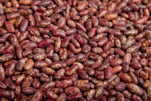 Haricot beans — Stock Photo, Image