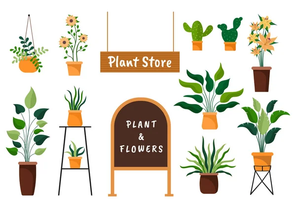 Flowers Store Plants Shop Florists Care Organic Natural Products Home — Stock Vector