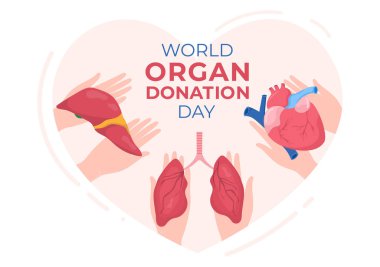 Böbrekler, Kalp, Ciğerler, Gözler, Nakil İçin Karaciğer, Düz Çizgi Film Çizimlerinde Hayat Kurtarma ve Sağlık Hizmetleri İçin Dünya Organ Bağışı Günü
