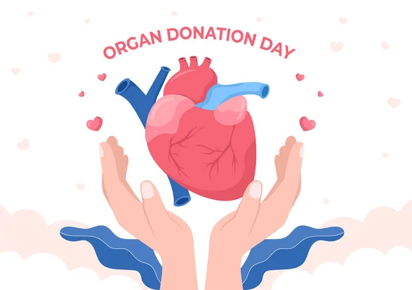 World Organ Donation Day Kidneys Heart Lungs Eyes Liver Transplantation — стоковий вектор