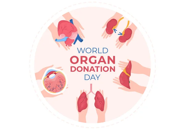 Παγκόσμια Ημέρα Δωρεάς Οργάνων Νεφρά Καρδιά Πνεύμονες Μάτια Ήπαρ Για — Διανυσματικό Αρχείο