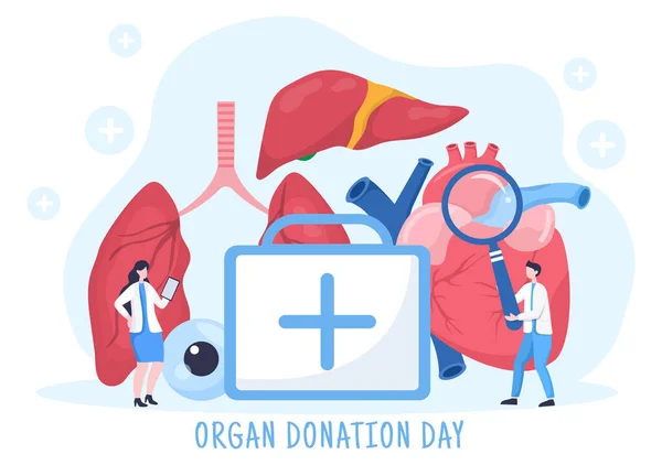 Día Mundial Donación Órganos Con Riñones Corazón Pulmones Ojos Hígado — Vector de stock