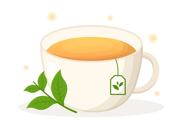 Chamomile Leaves Health Drinking Green Increase Endurance Template Hand Drawn — 스톡 벡터