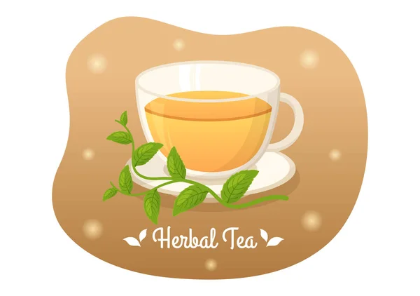 Chamomile Leaves Health Drinking Green Increase Endurance Template Hand Drawn — 스톡 벡터