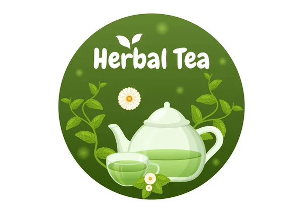 Травяной Чай Ромашкой Листья Здоровья Пить Зеленый Увеличить Выносливость Шаблоне — стоковый вектор
