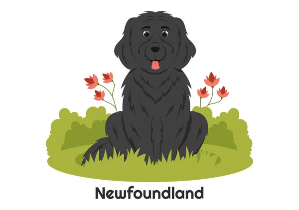 Newfoundland Dog Djur Med Svart Brun Eller Landseer Färg Platt — Stock vektor