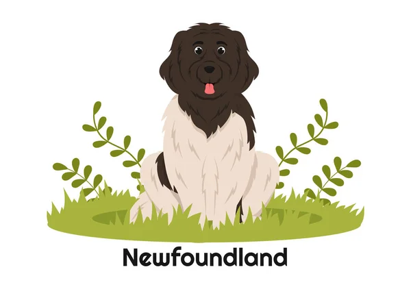Newfoundland Pes Zvířata Černou Hnědou Nebo Landseer Color Plochém Stylu — Stockový vektor
