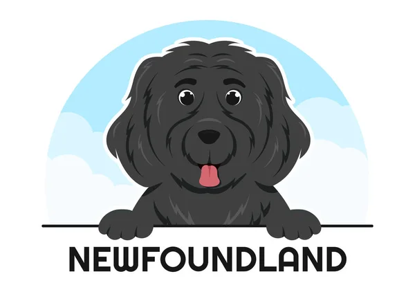 Newfoundland Pes Zvířata Černou Hnědou Nebo Landseer Color Plochém Stylu — Stockový vektor