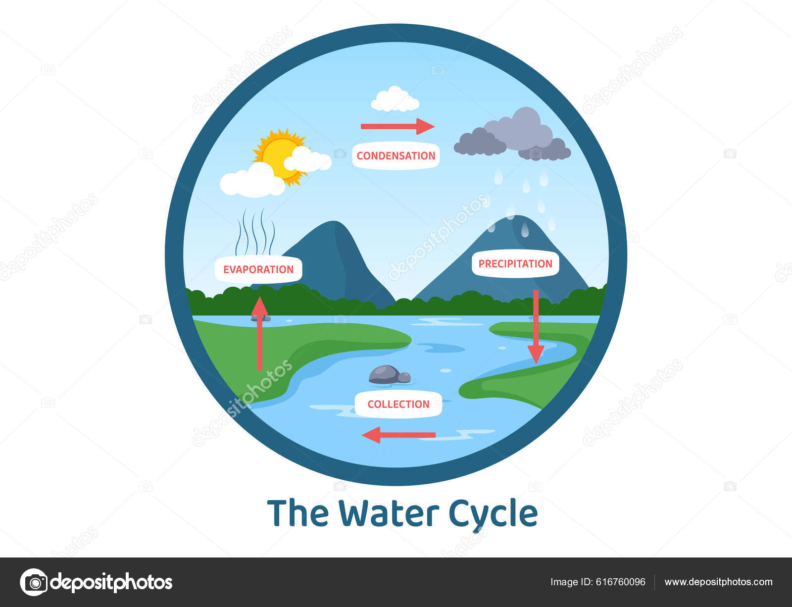 precipitation water cycle