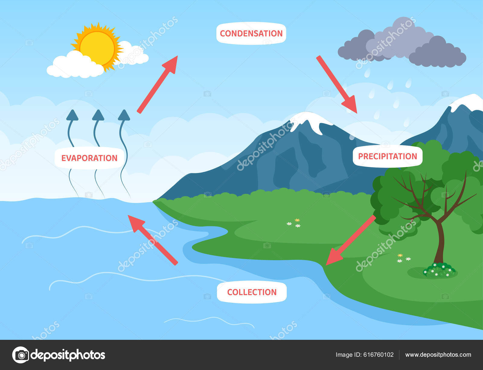 Ciclo Água Evaporação Condensação Precipitação Para Coleção Terra ...
