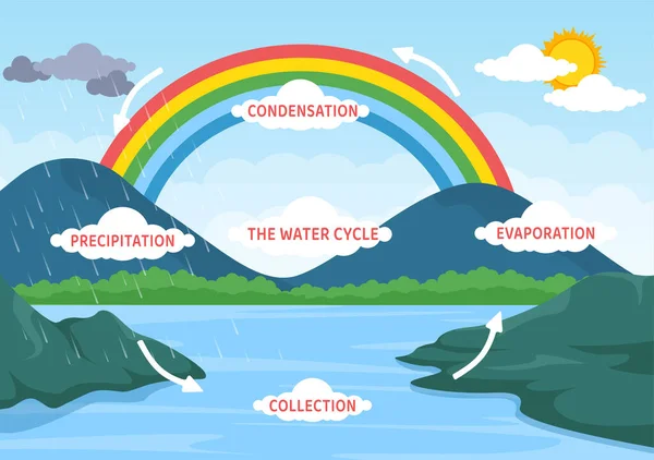 Cycle Eau Évaporation Condensation Précipitations Collecte Dans Environnement Naturel Terre — Image vectorielle