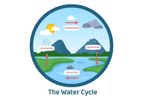 Ciclo Dell Acqua Evaporazione Condensazione Precipitazione Alla Raccolta Ambiente Naturale — Vettoriale Stock