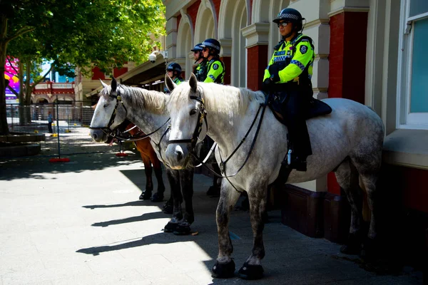Perth Australia November 2021 Police Patrolling Freedom Rally Protest Vaccine — Stock Photo, Image