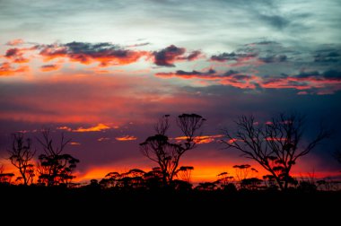 Avustralya 'da Gündoğumu