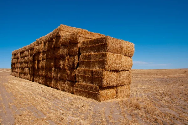 Straw Bales Field — Stock Photo, Image