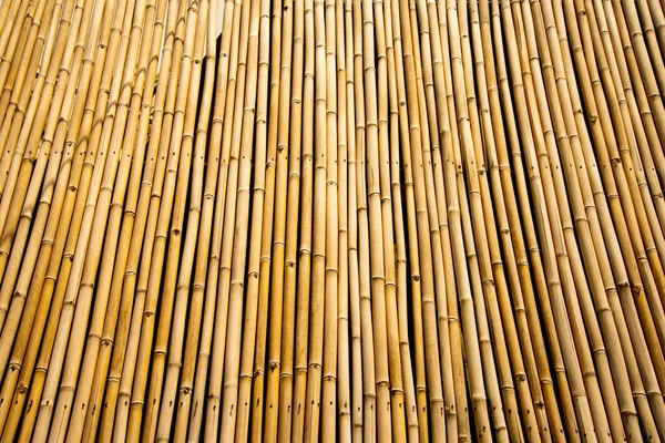 Row Bamboo Sticks Texture — Stock Photo, Image