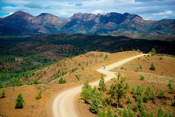 Ikara-Flinders Ulusal Parkı 'nda Razorback Gözcüsü - Avustralya