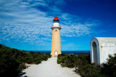 Cape Du Couedic Deniz Feneri - Kanguru Adası - Avustralya