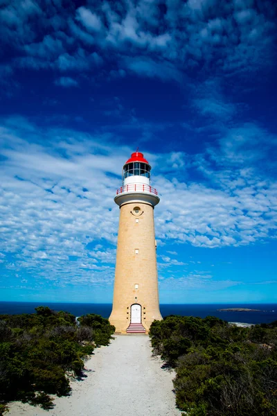 Faro Couedic Cape Isla Canguro Australia —  Fotos de Stock