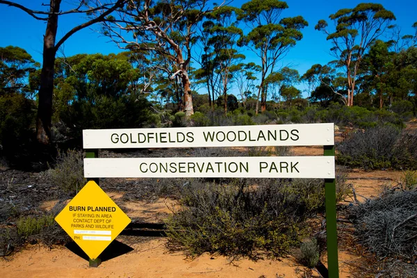 Goldfields Woodlands Conservation Park West Australië — Stockfoto
