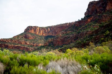 Ikara-Flinders Ulusal Parkı - Avustralya