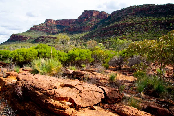 Parque Nacional Las Cordilleras Ikara Flinders Australia — Foto de Stock