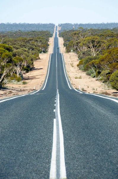 Eyre Highway Australie Occidentale — Photo