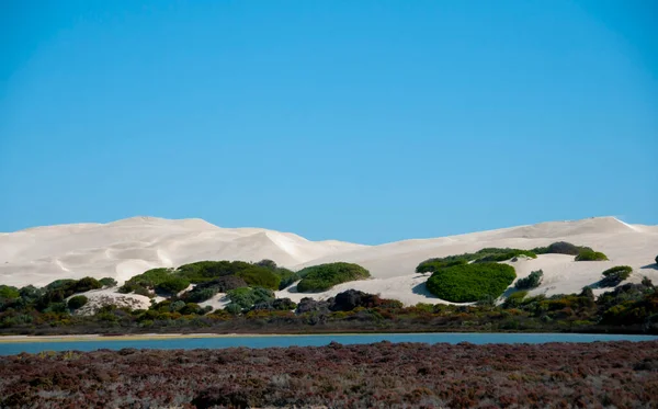 Point Sinclair Sand Dunes Australia Meridionale — Foto Stock