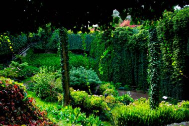 Umpherston obruğu - Gambier Dağı - Avustralya