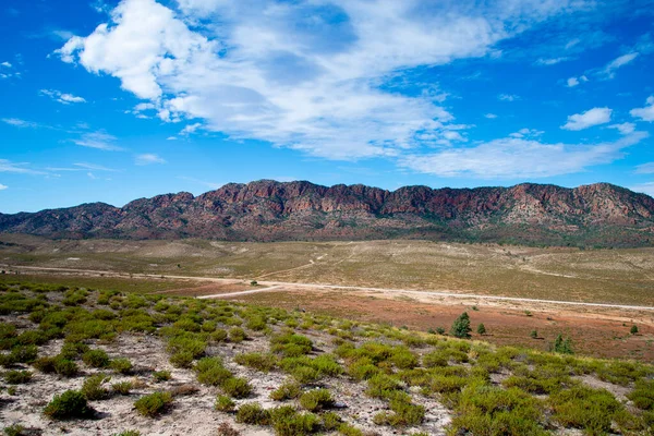 Pugilist Hill Lookout Flinders Ranges Australia — стоковое фото