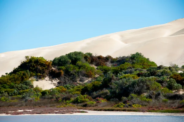 Point Sinclair Sand Dunes Australie Méridionale — Photo